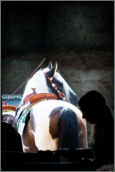 MP Stable04